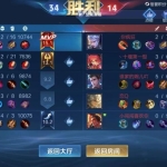 想在iOS上使用王者荣耀透视，有哪些方法可行？